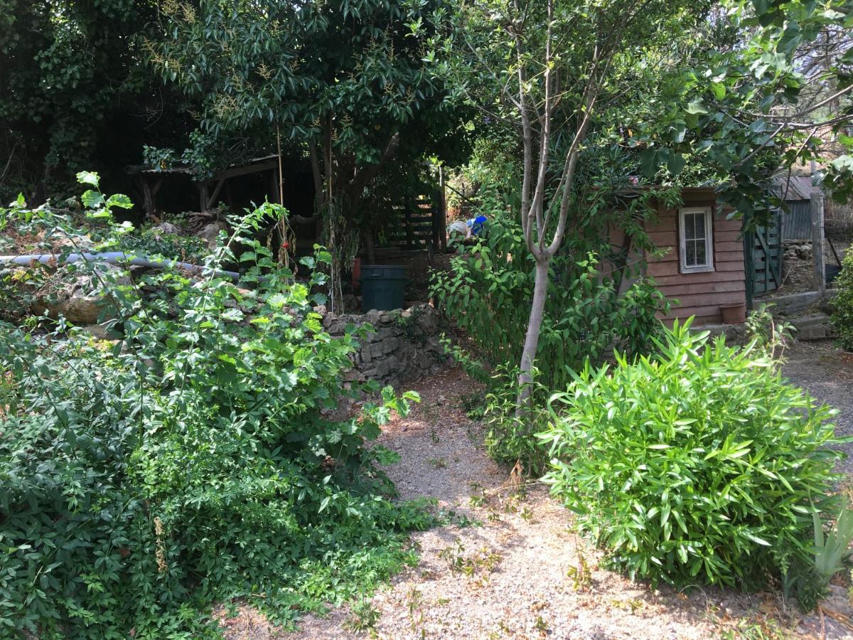 Fraissé-des-Corbières Chez Tatie Menie B&B 외부 사진