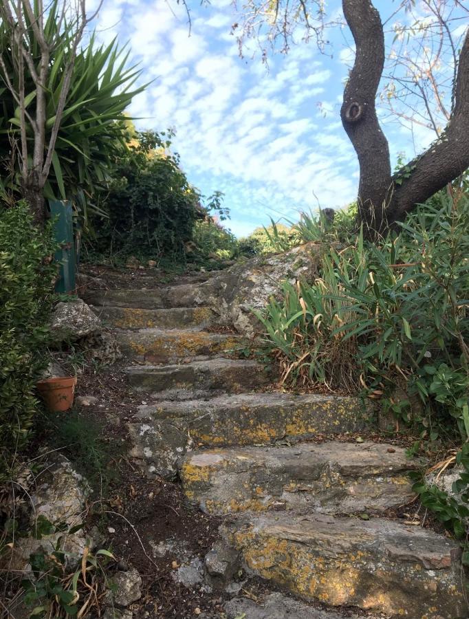 Fraissé-des-Corbières Chez Tatie Menie B&B 외부 사진